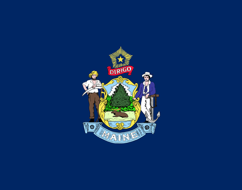 Maine state flag