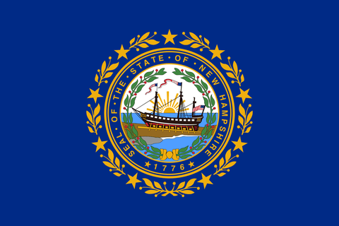 New Hampshire state flag